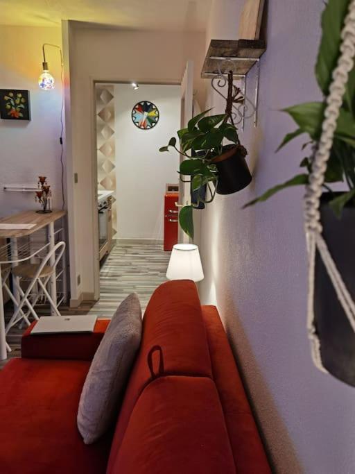 Cosy T1Bis Proche Centreville, Petit Port, Audencia 낭트 외부 사진